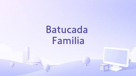 Batucada Familia