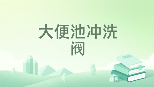 大便池冲洗阀