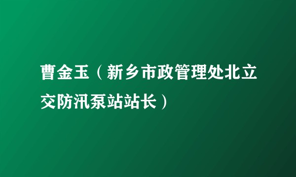曹金玉（新乡市政管理处北立交防汛泵站站长）