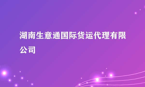 湖南生意通国际货运代理有限公司