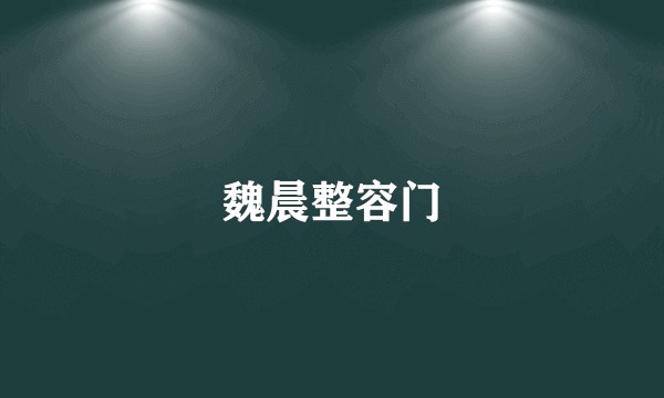 魏晨整容门