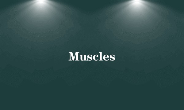Muscles