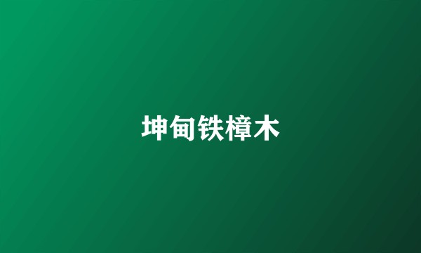 坤甸铁樟木