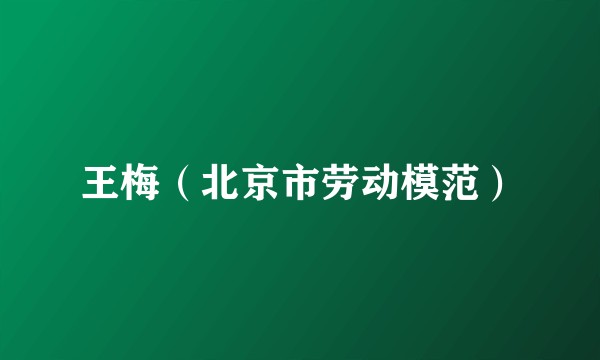 王梅（北京市劳动模范）