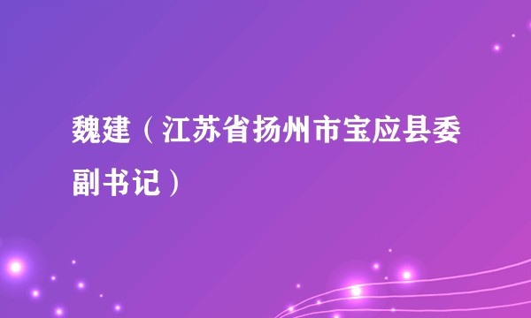 魏建（江苏省扬州市宝应县委副书记）