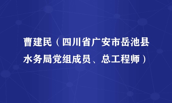 曹建民（四川省广安市岳池县水务局党组成员、总工程师）
