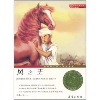 国际大奖小说·升级版：风之王