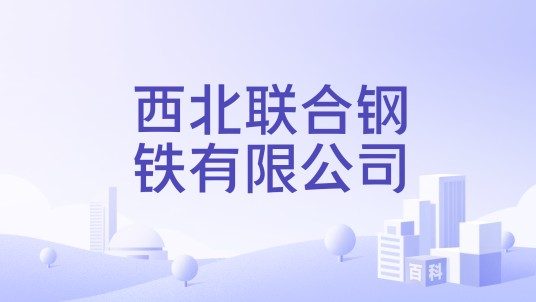 西北联合钢铁有限公司