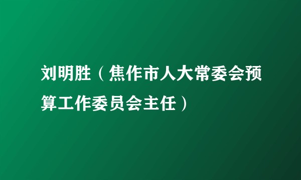 刘明胜（焦作市人大常委会预算工作委员会主任）
