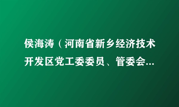 侯海涛（河南省新乡经济技术开发区党工委委员、管委会副主任级干部）
