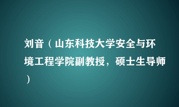 刘音（山东科技大学安全与环境工程学院副教授，硕士生导师）