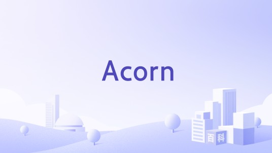 Acorn（Acorn协会）