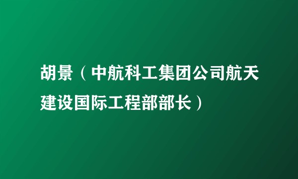 胡景（中航科工集团公司航天建设国际工程部部长）