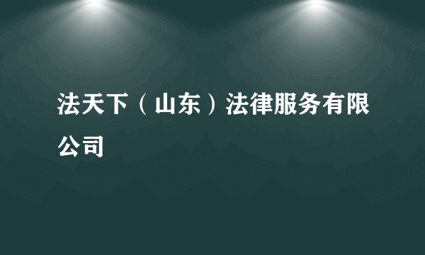 法天下（山东）法律服务有限公司
