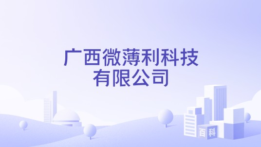 广西微薄利科技有限公司