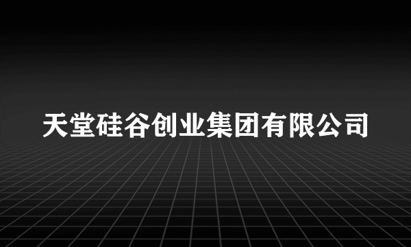 天堂硅谷创业集团有限公司