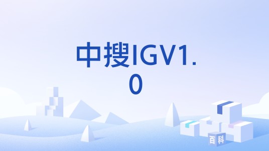 中搜IGV1.0