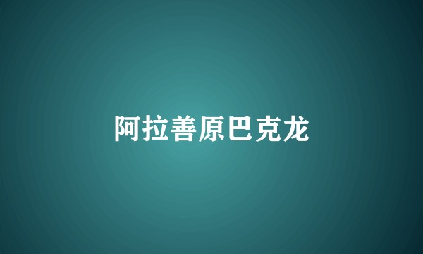 阿拉善原巴克龙