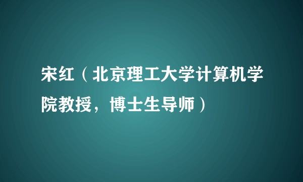 宋红（北京理工大学计算机学院教授，博士生导师）
