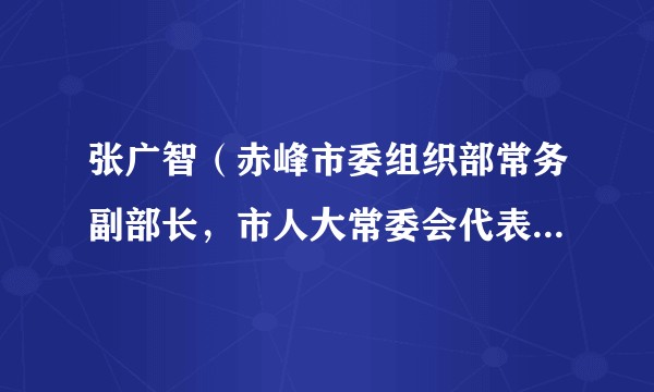 张广智（赤峰市委组织部常务副部长，市人大常委会代表资格审查委员会委员）