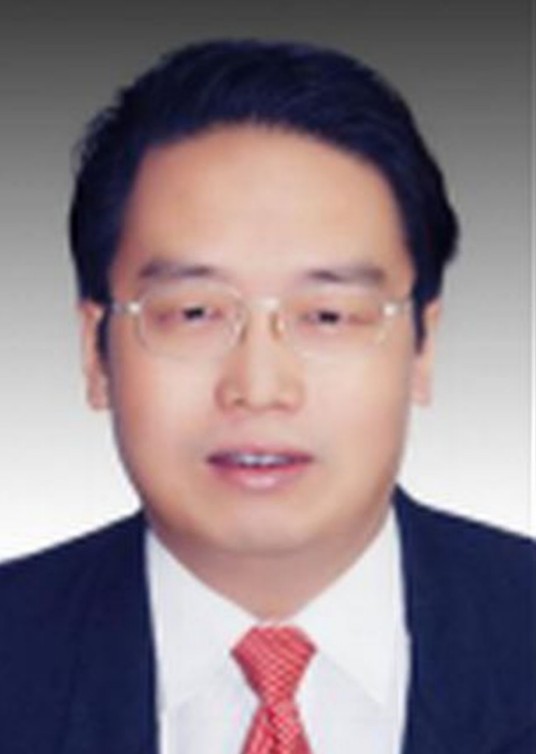 李红军(陕西省宝鸡市岐山县财政局党组书记、局长)