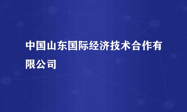中国山东国际经济技术合作有限公司