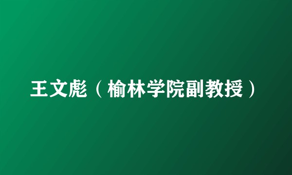 王文彪（榆林学院副教授）