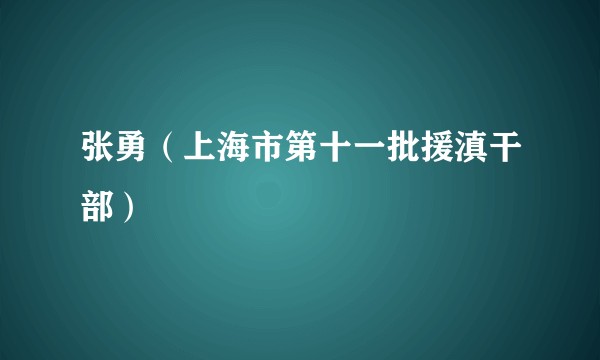 张勇（上海市第十一批援滇干部）