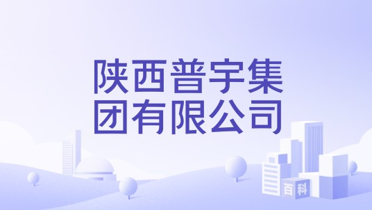 陕西普宇集团有限公司