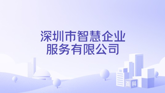深圳市智慧企业服务有限公司