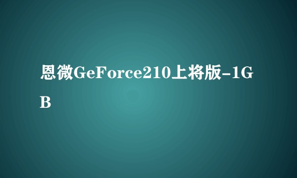 恩微GeForce210上将版-1GB