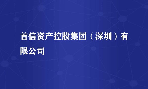 首信资产控股集团（深圳）有限公司