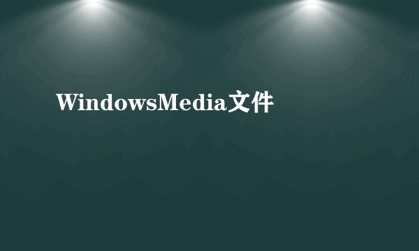 WindowsMedia文件