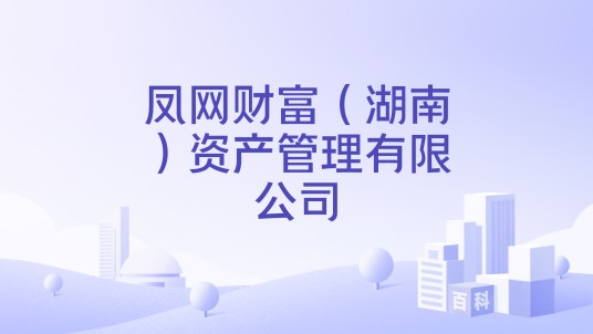 凤网财富（湖南）资产管理有限公司
