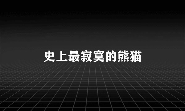史上最寂寞的熊猫