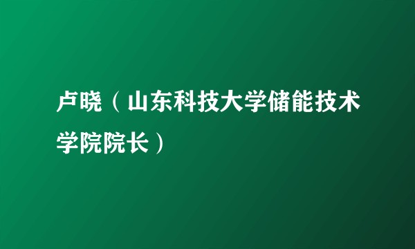 卢晓（山东科技大学储能技术学院院长）