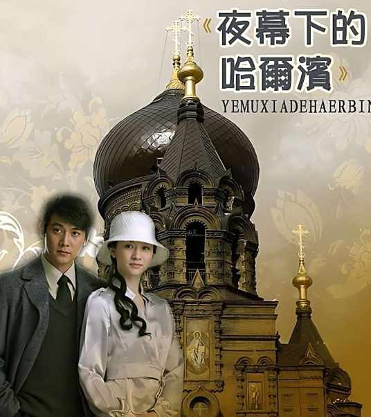 夜幕下的哈尔滨（2008年赵宝刚、王迎执导的谍战剧）