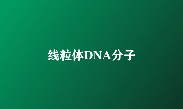 线粒体DNA分子