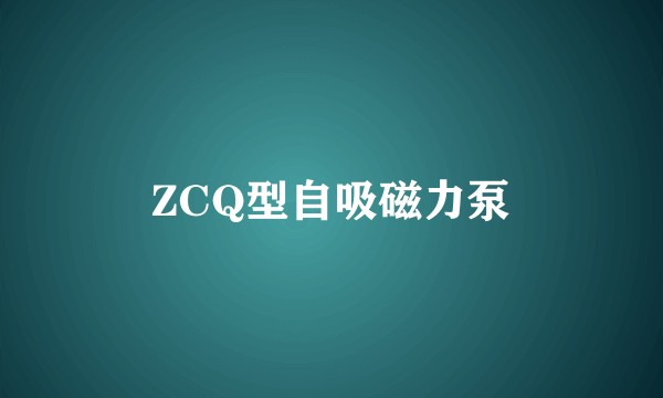 ZCQ型自吸磁力泵