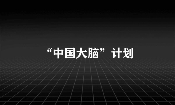 “中国大脑”计划