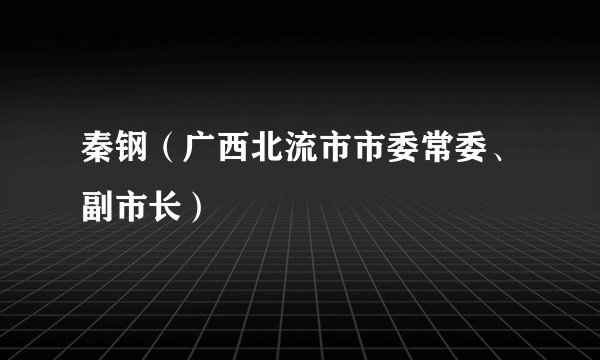 秦钢（广西北流市市委常委、副市长）