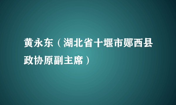 黄永东（湖北省十堰市郧西县政协原副主席）