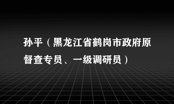 孙平（黑龙江省鹤岗市政府原督查专员、一级调研员）