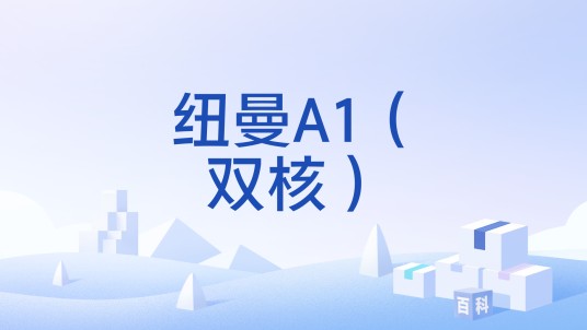 纽曼A1（双核）