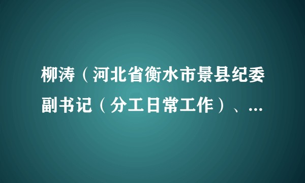 柳涛（河北省衡水市景县纪委副书记（分工日常工作）、县监察委副主任、一级主任科员）
