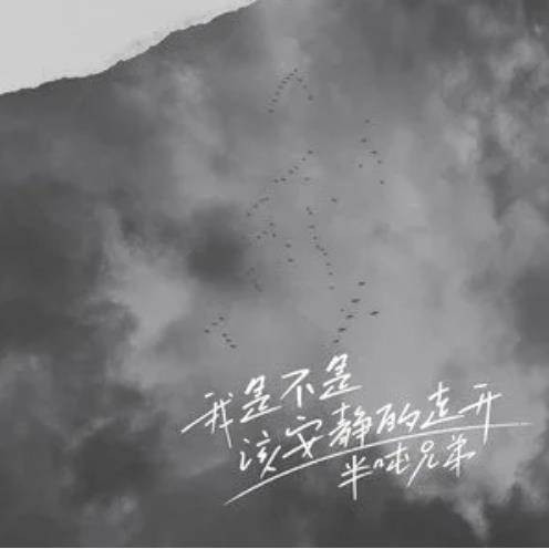 我是不是该安静的走开（半吨兄弟演唱的国语歌曲）
