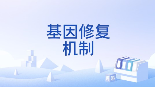 基因修复机制