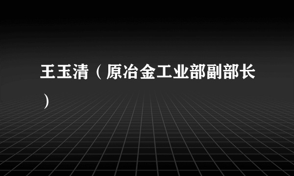 王玉清（原冶金工业部副部长）