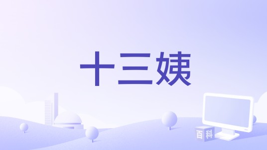 十三姨（刘奇编剧的功夫喜剧电影）
