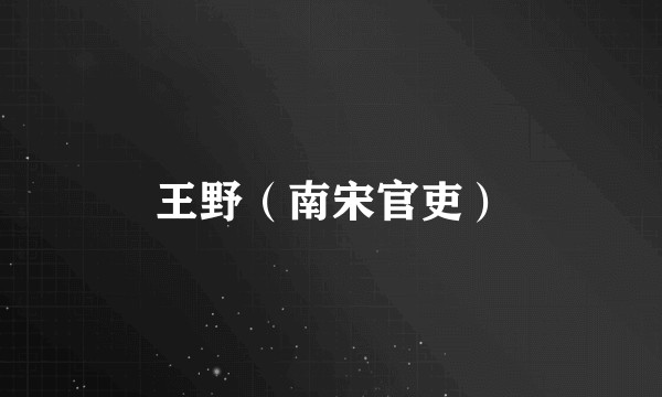王野（南宋官吏）